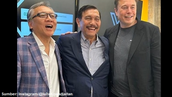 elon musk luhut